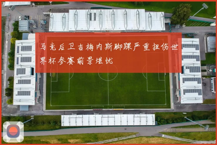 马竞后卫吉梅内斯脚踝严重扭伤世界杯参赛前景堪忧