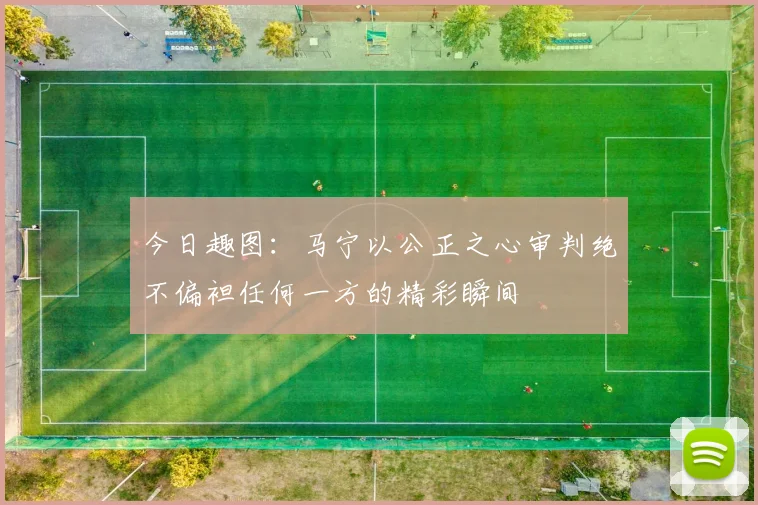 今日趣图：马宁以公正之心审判绝不偏袒任何一方的精彩瞬间